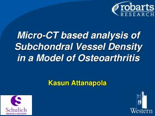 Micro-CT based analysis of Subchondral Vessel Density in a Model of Osteoarthritis