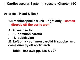 Cardiovascular System – vessels -Chapter 19C