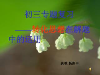初三专题复习 —— 转化思想 在解题中的运用