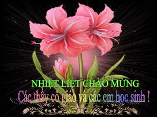 Sắp đến tết rồi