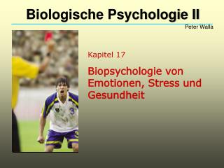 Kapitel 17 Biopsychologie von Emotionen, Stress und Gesundheit