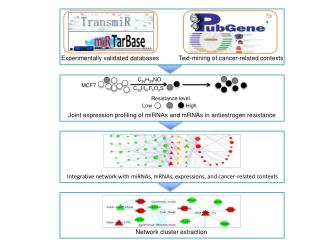 Experimentally validated databases