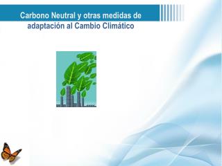 Carbono Neutral y otras medidas de adaptación al Cambio Climático