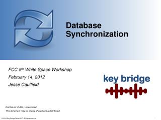Database Synchronization