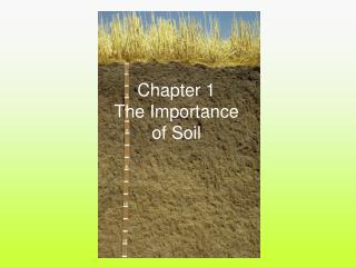 Chapter 1 The Importance of Soil