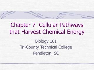 Chapter 7 Cellular Pathways that Harvest Chemical Energy