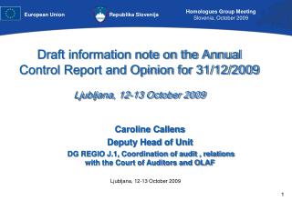 Draft information note on the Annual Control Report and Opinion for 31/12/2009 Ljubljana, 12-13 October 2009