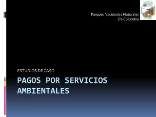 Pagos por servicios ambientales