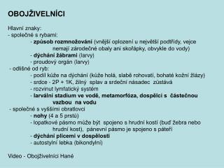 OBOJŽIVELNÍCI Hlavní znaky: společné s rybami: