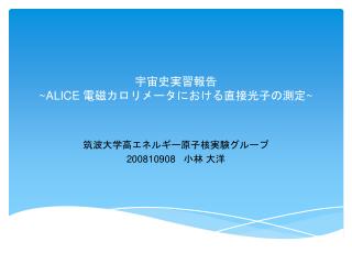 宇宙史実習報告 ~ALICE 電磁カロリメータにおける直接光子の測定 ~