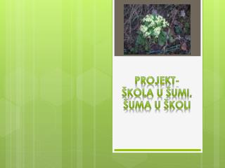 Projekt- Škola u šumi, šuma u školi