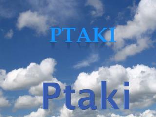 Ptaki