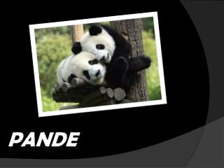 PANDE