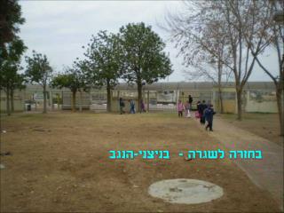 בחזרה לשגרה - בניצני-הנגב