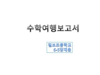 수학여행보고서