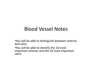 Blood Vessel Notes