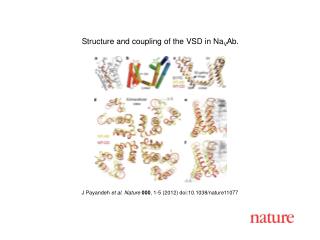 J Payandeh et al . Nature 000 , 1-5 (2012) doi:10.1038/nature11077