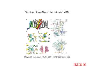 J Payandeh et al. Nature 000 , 1 - 6 (2011) doi:10.1038/nature10238