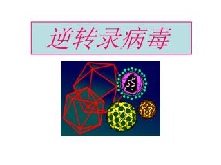 逆转录病毒