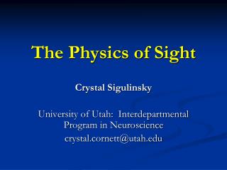 The Physics of Sight