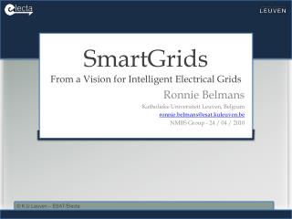 SmartGrids From a Vision for Intelligent Electrical Grids