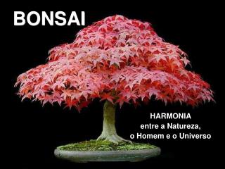 BONSAI