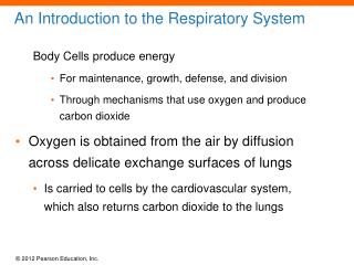 An Introduction to the Respiratory System