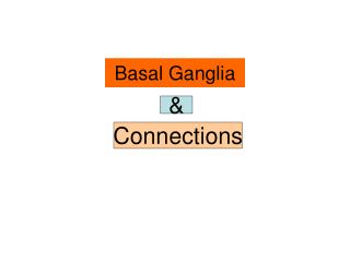 Basal Ganglia