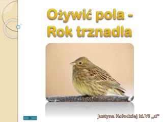 Ożywić pola - Rok trznadla