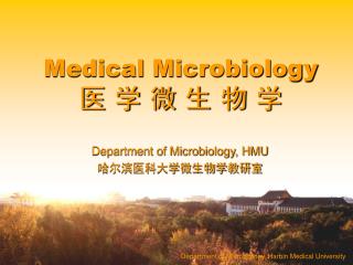 Department of Microbiology, Harbin Medical University