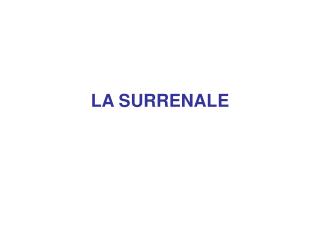 LA SURRENALE