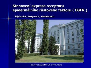 Stanovení exprese receptoru epidermálního růstového faktoru ( EGFR )