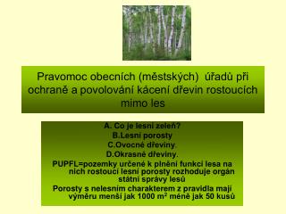 Pravomoc obecních (městských) úřadů při ochraně a povolování kácení dřevin rostoucích mimo les