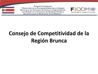 Consejo de Competitividad de la Región Brunca