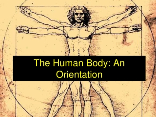 The Human Body: An Orientation