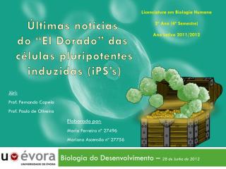Últimas notícias do “El Dorado ” das células pluripotentes induzidas ( iPS’s )