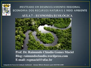 MESTRADO EM DESENVOLVIMENTO REGIONAL ECONOMIA DOS RECURSOS NATURAIS E MEIO AMBIENTE