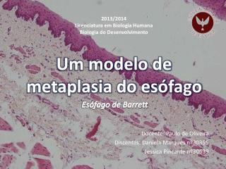 Um modelo de metaplasia do esófago