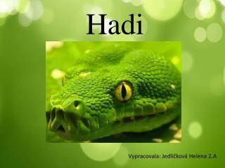 Hadi