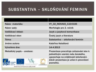 Substantiva – skloňování feminin