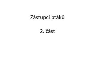 Zástupci ptáků 2. část