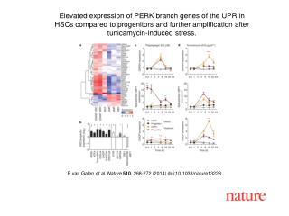 P van Galen et al. Nature 510 , 268 -272 (2014) doi:10.1038/nature 13228