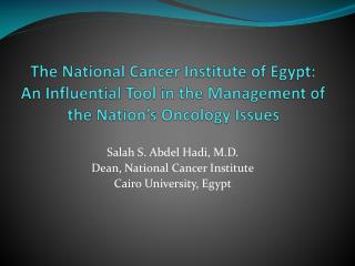 The National Cancer Institute of Egypt: An Influential Tool in the Management of the Nation’s Oncology Issues