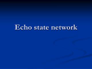 Echo state network