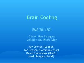 Brain Cooling