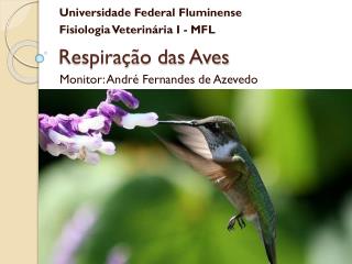 Respiração das Aves