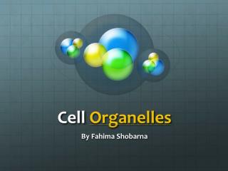 Cell Organelles