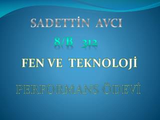 SADETTİN AVCI