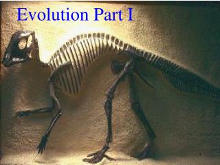 Evolution Part I