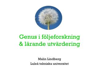 Genus i följeforskning &amp; lärande utvärdering